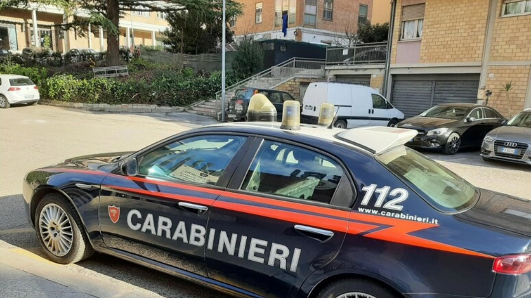 Carabinieri (foto Ansa)       