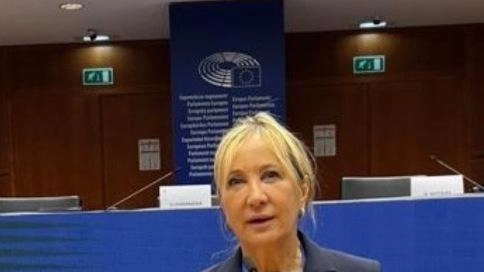 Imprese, al Parlamento europeo una voce dalla Valtellina Imprese, al Parlamento europeo una voce dalla Valtellina