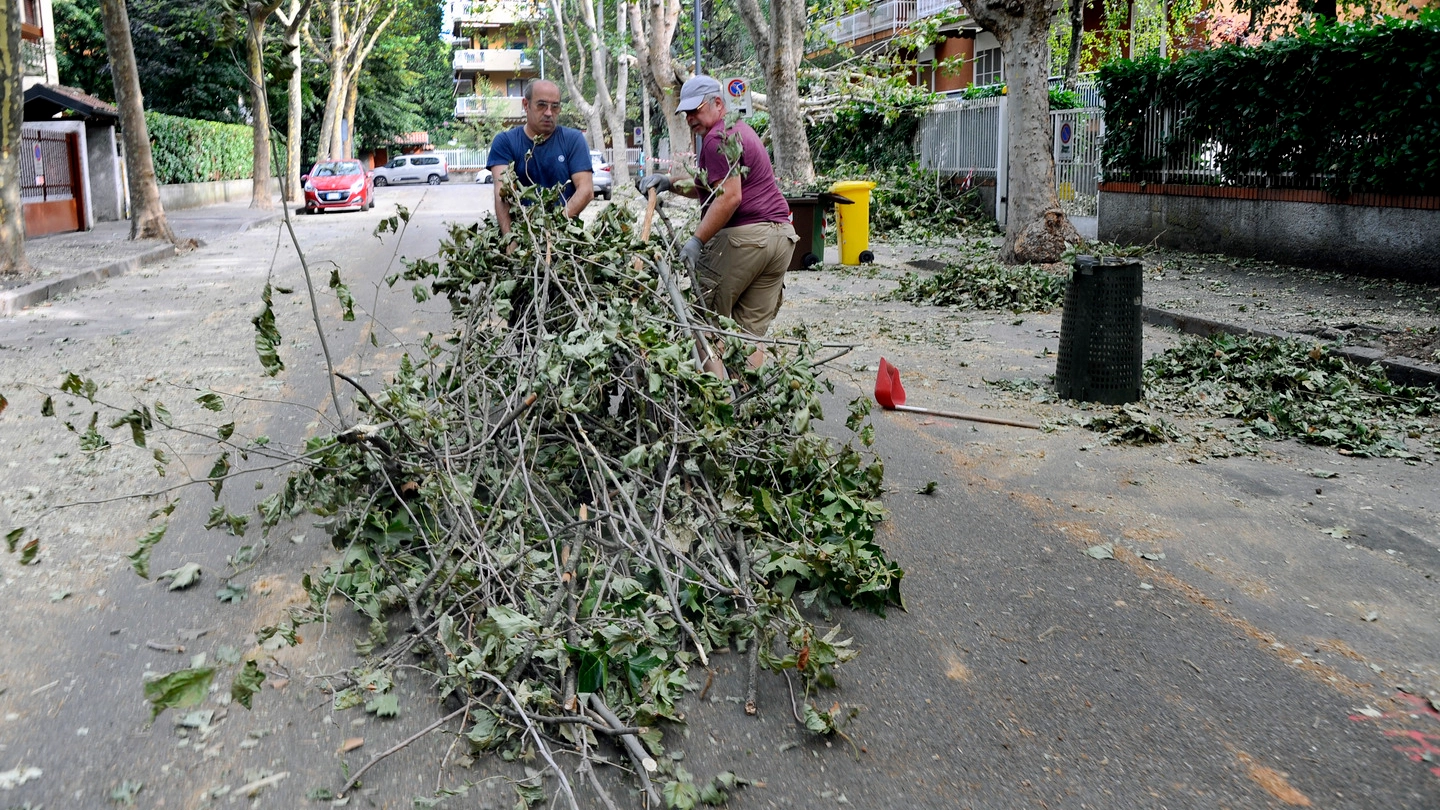 Un volontario: "La città è nostra, diamo un piccolo contributo per metterla a posto" Un volontario: "La città è nostra, diamo un piccolo contributo per metterla a posto"