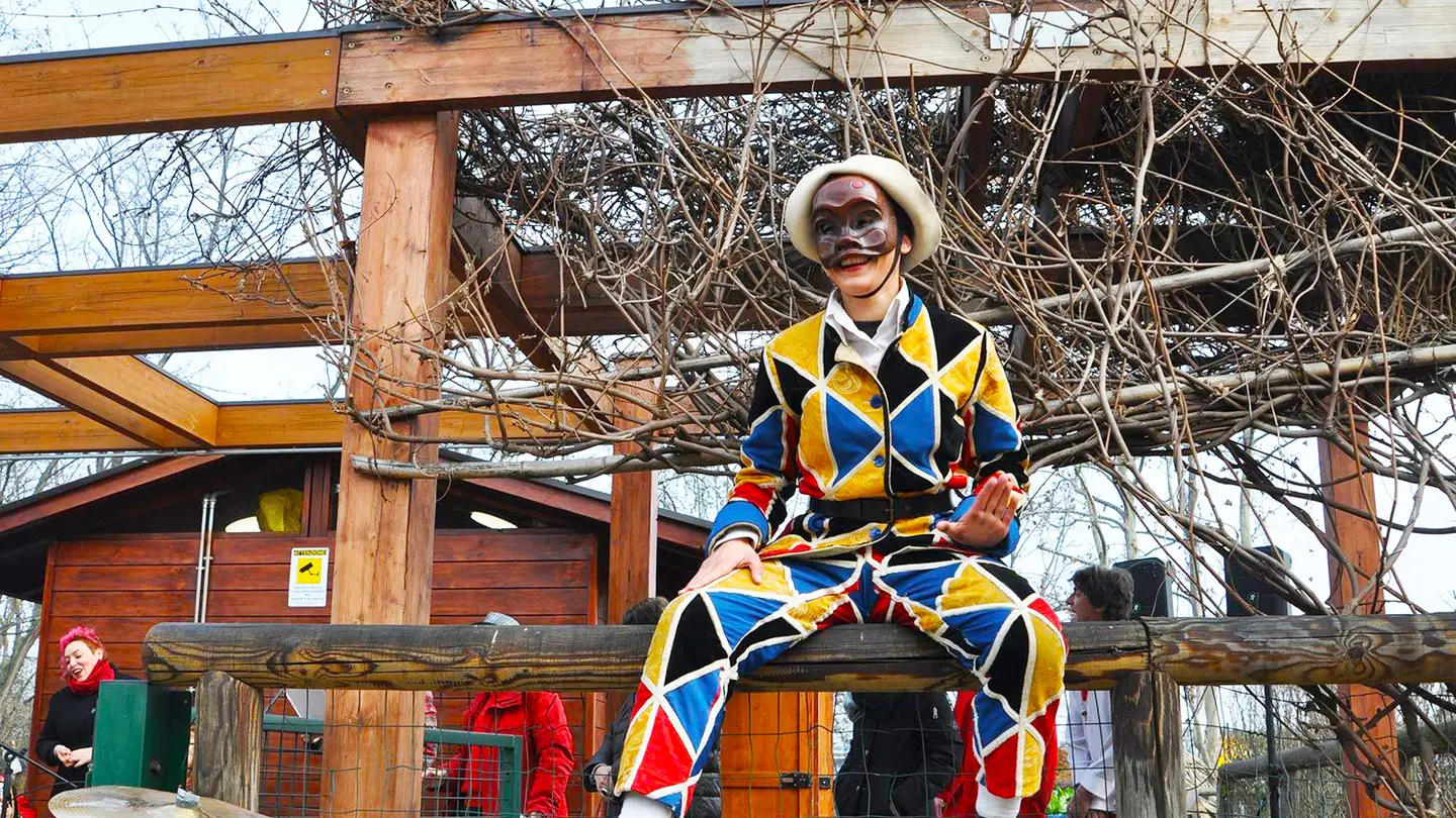 Arlecchino Arlecchino