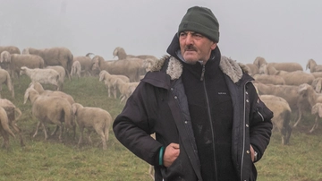 Giuseppe Salvi, il pastore e le sue 800 pecore: “Dalle Orobie fino a Milano. La lana? Non vale più nulla e i lupi fanno paura”