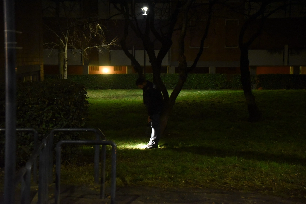 immagine di sfondo 13