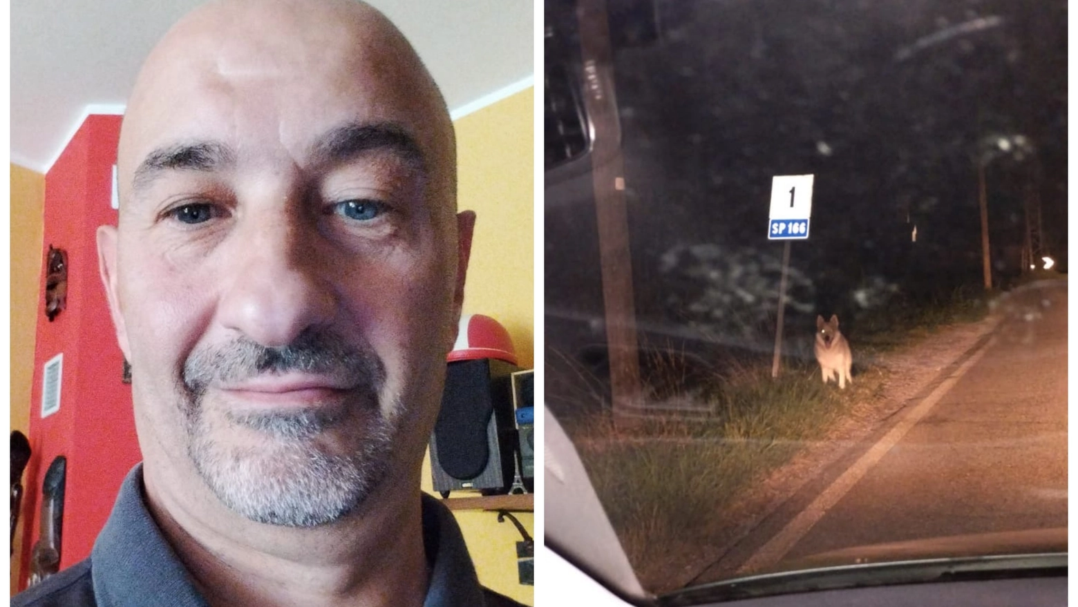 Pierluigi Borgacci riferisce che "il lupo è comparso dal buio muovendosi lentamente  e osservando attorno a sé"