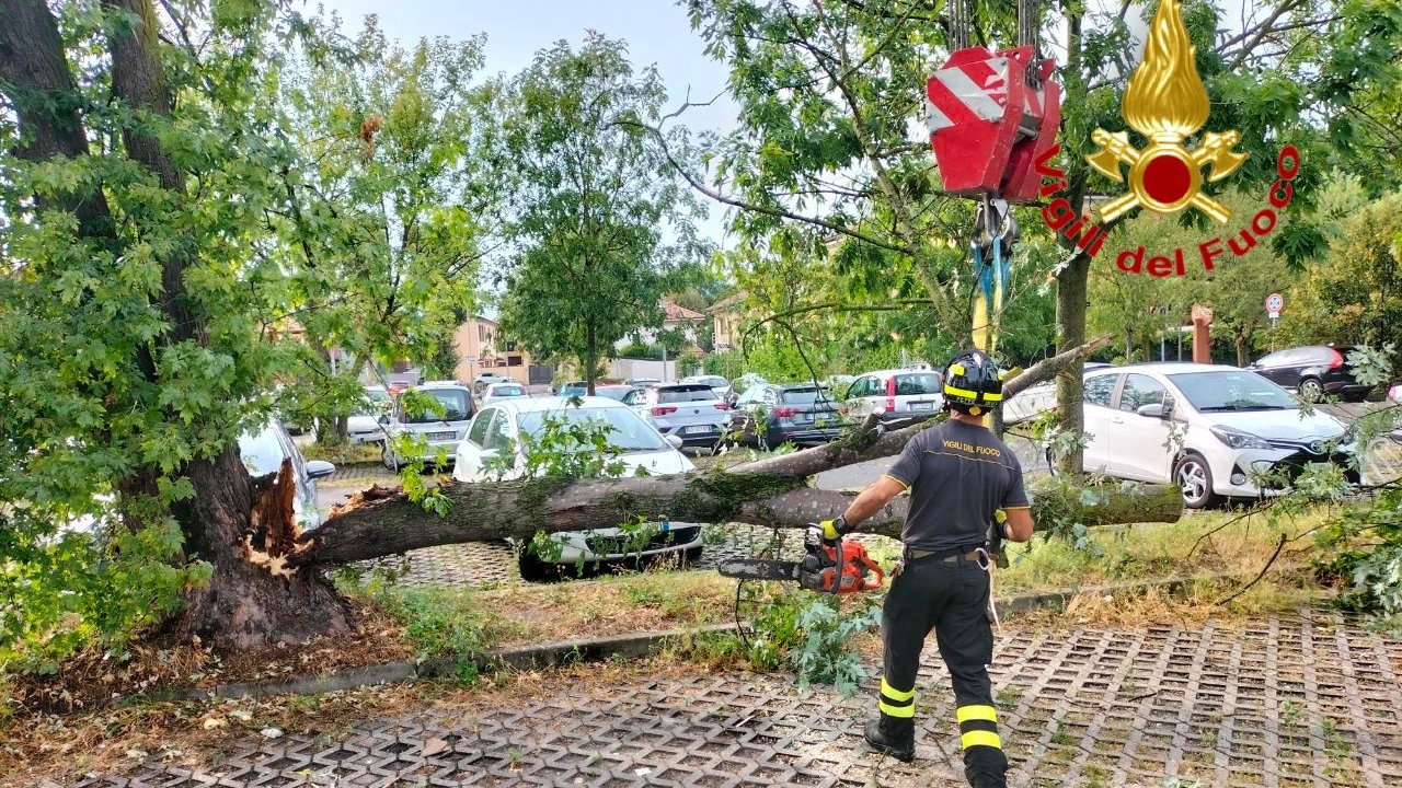 L'intervento nel parcheggio dell'ospedale di Lodi L'intervento nel parcheggio dell'ospedale di Lodi