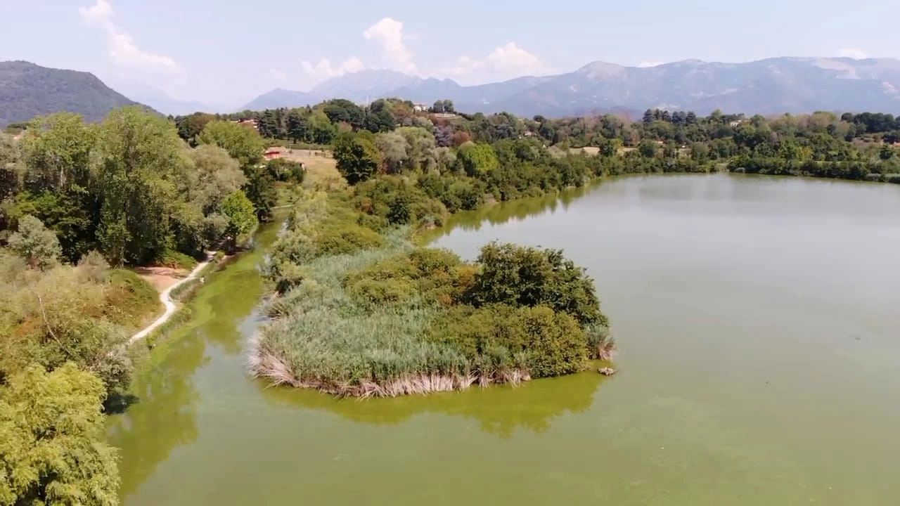 Il lago di Sartirana verde per le alghe