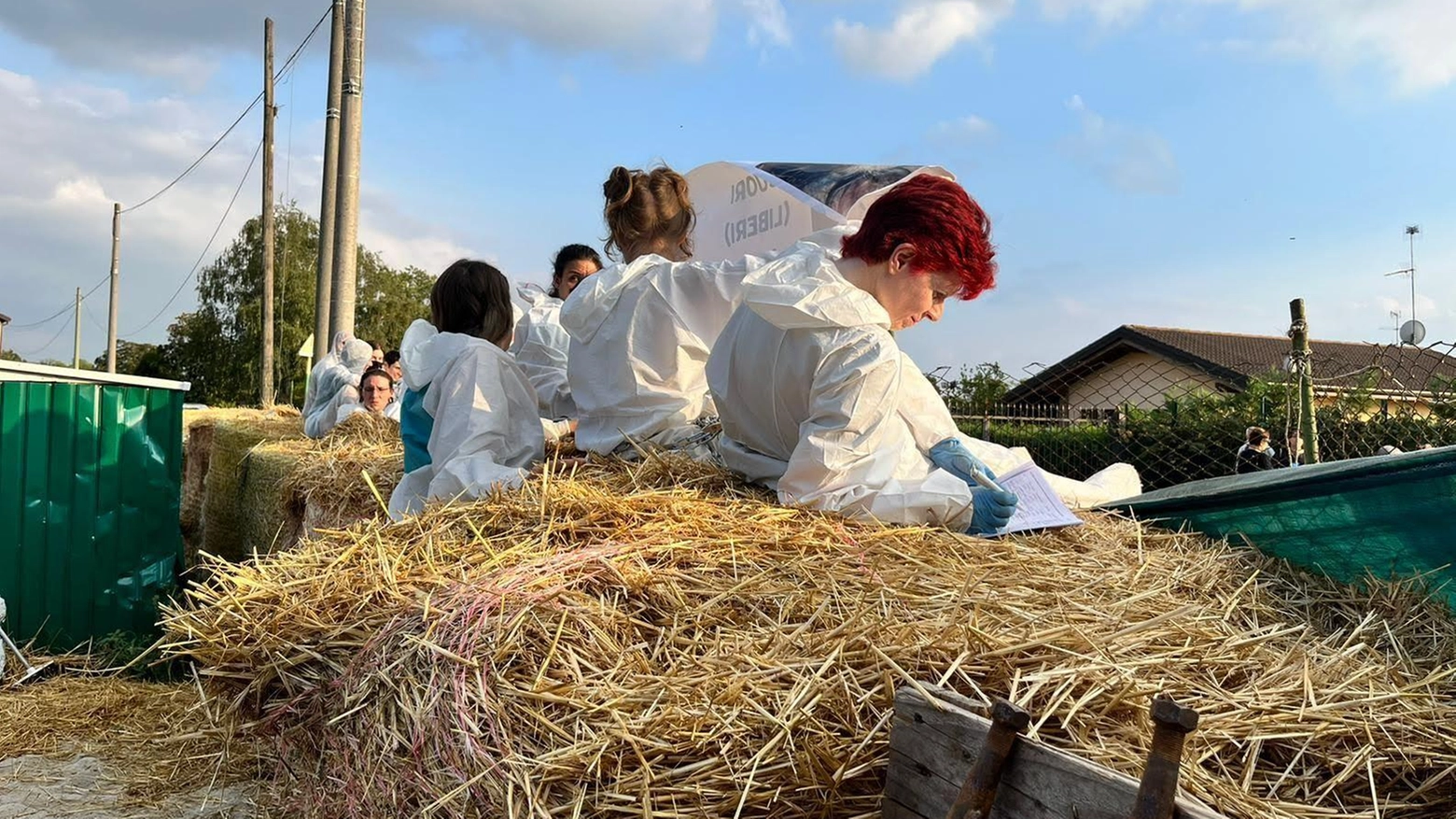ll presidio si rafforza: "No al massacro dei suini". Attivisti barricati nel rifugio
