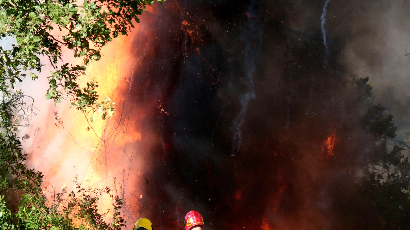 Un intervento per incendio in un bosco (foto di repertorio)