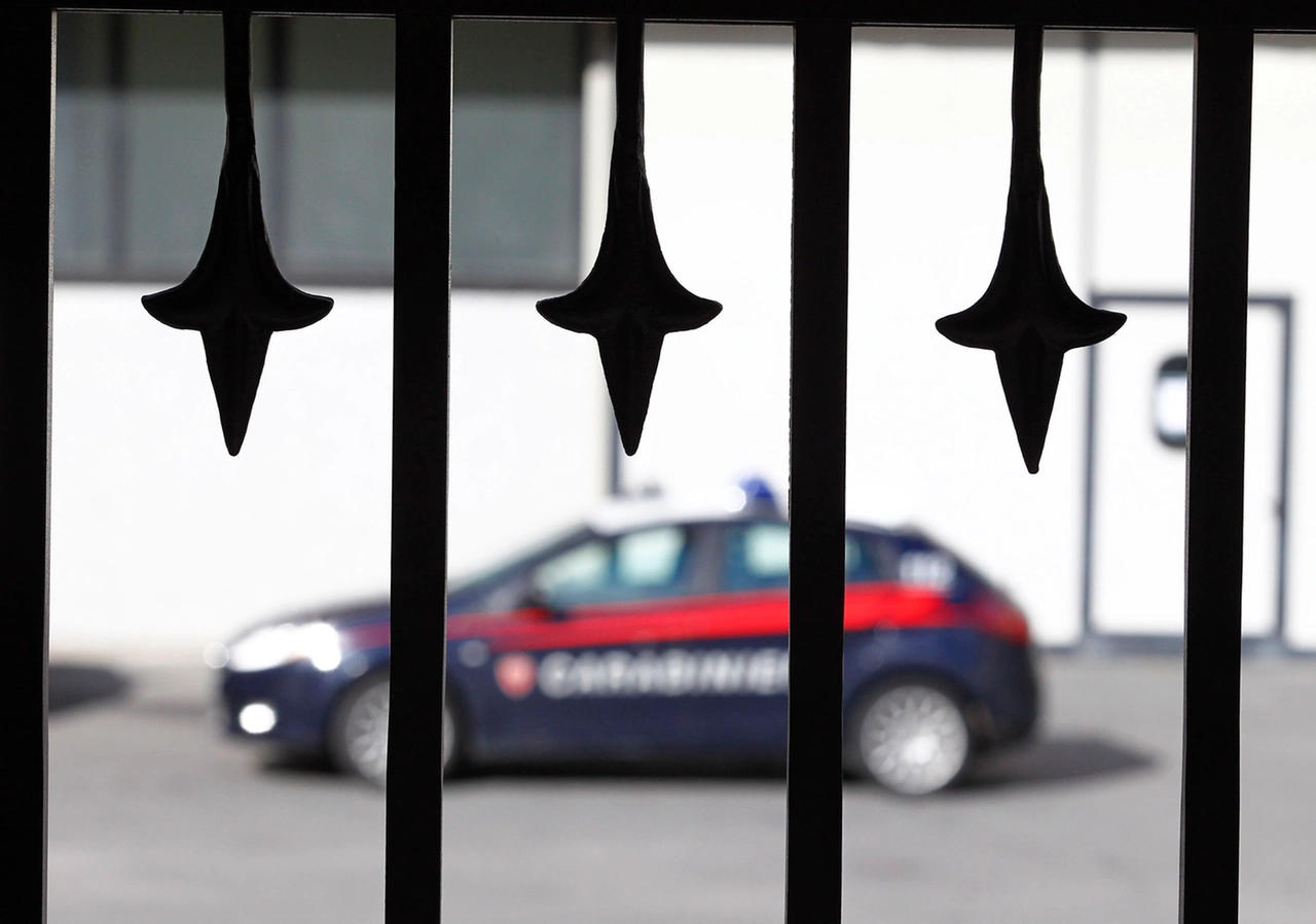 immagine di sfondo 13