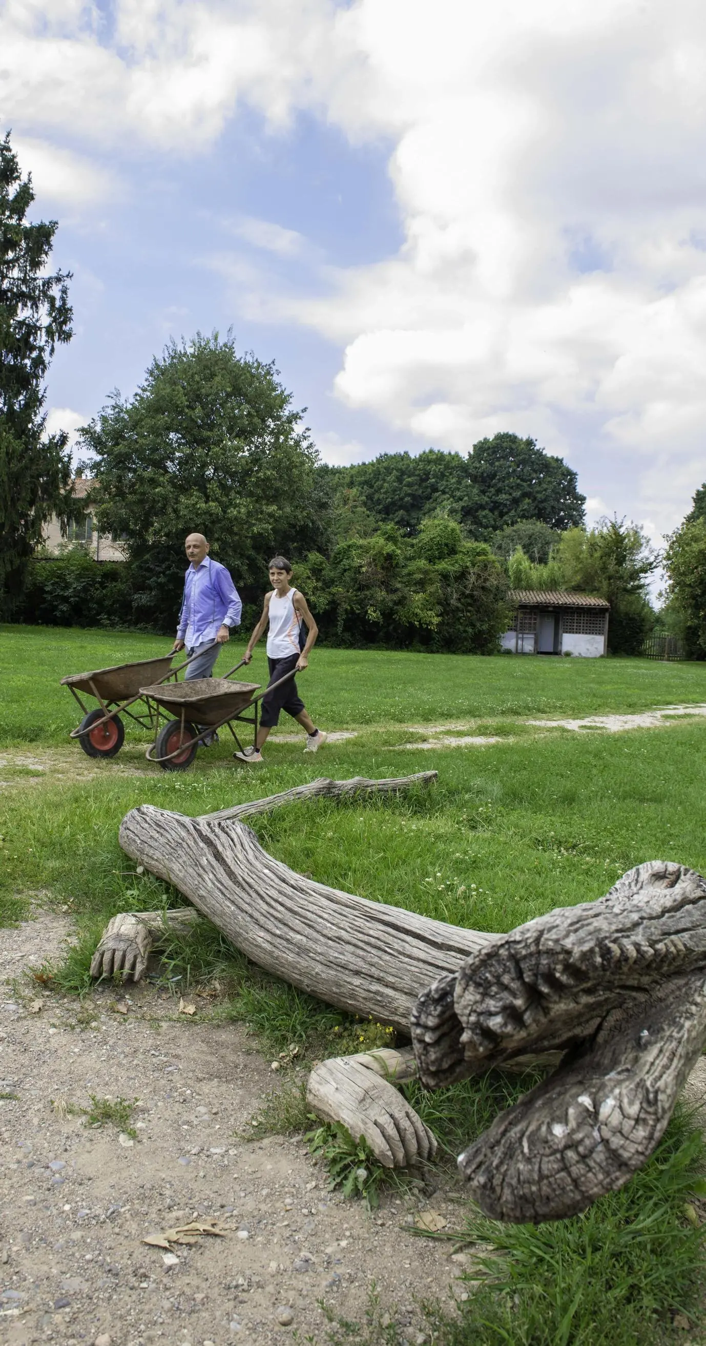Opere d’arte con il legno degli alberi persi a luglio