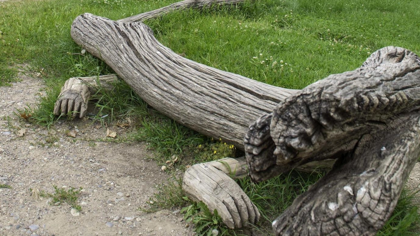 Opere d’arte con il legno degli alberi persi a luglio