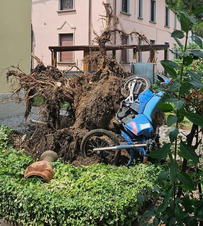 immagine di sfondo 7