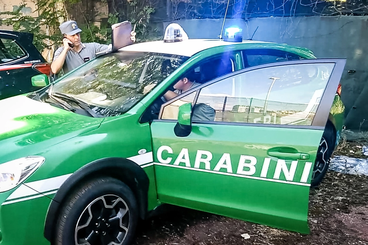 immagine di sfondo 3