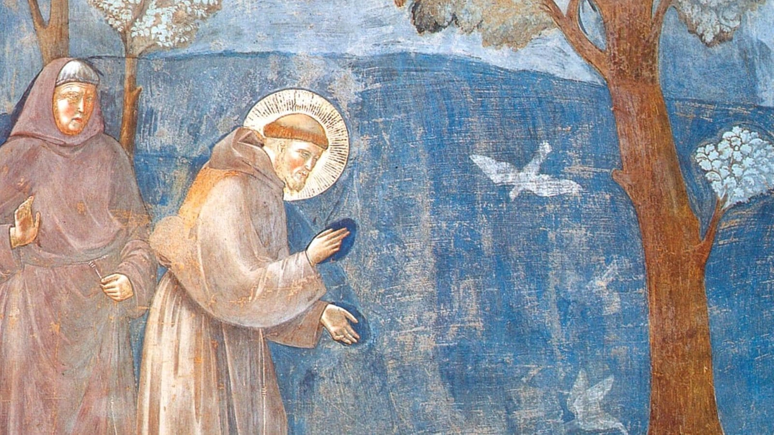 San Francesco ritratto da Giotto (Archivio)