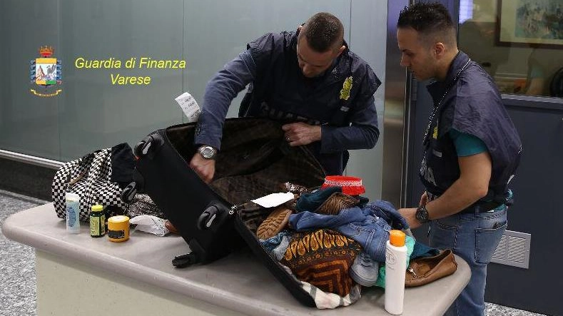 Controlli antidroga in aeroporto (Archivio) Controlli antidroga in aeroporto (Archivio)