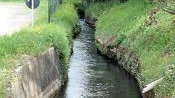 Un canale di irrigazione (foto di repertorio)