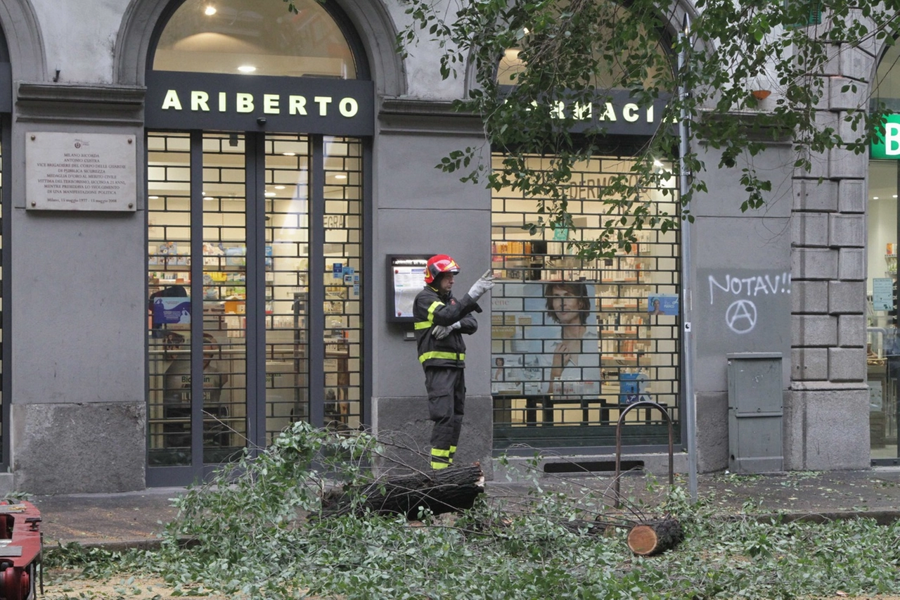 immagine di sfondo 35