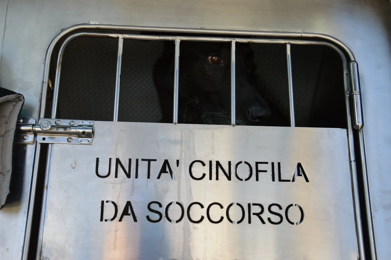 immagine di sfondo 12
