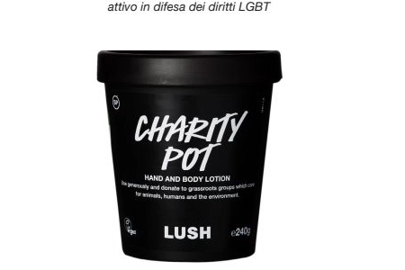 Charity Pot