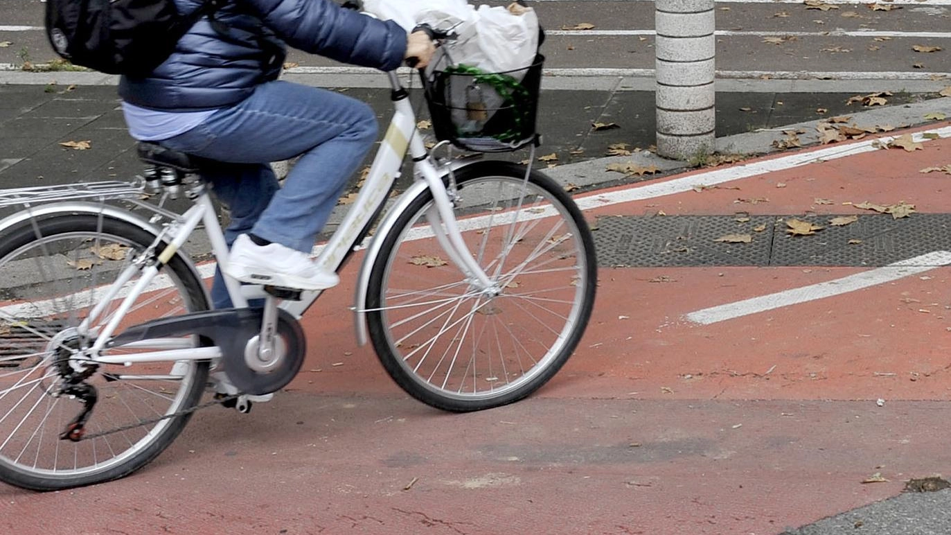 Poli universitari. Così la pista prende forma Poli universitari. Così la pista prende forma