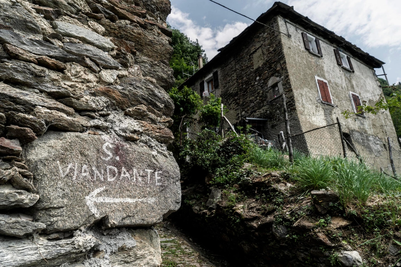 immagine di sfondo 9
