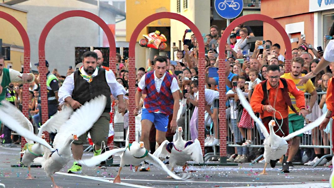 Autunno Ciarlasco, Palio delle oche. Alla fine la spunta il Punt da Legn Autunno Ciarlasco, Palio delle oche. Alla fine la spunta il Punt da Legn
