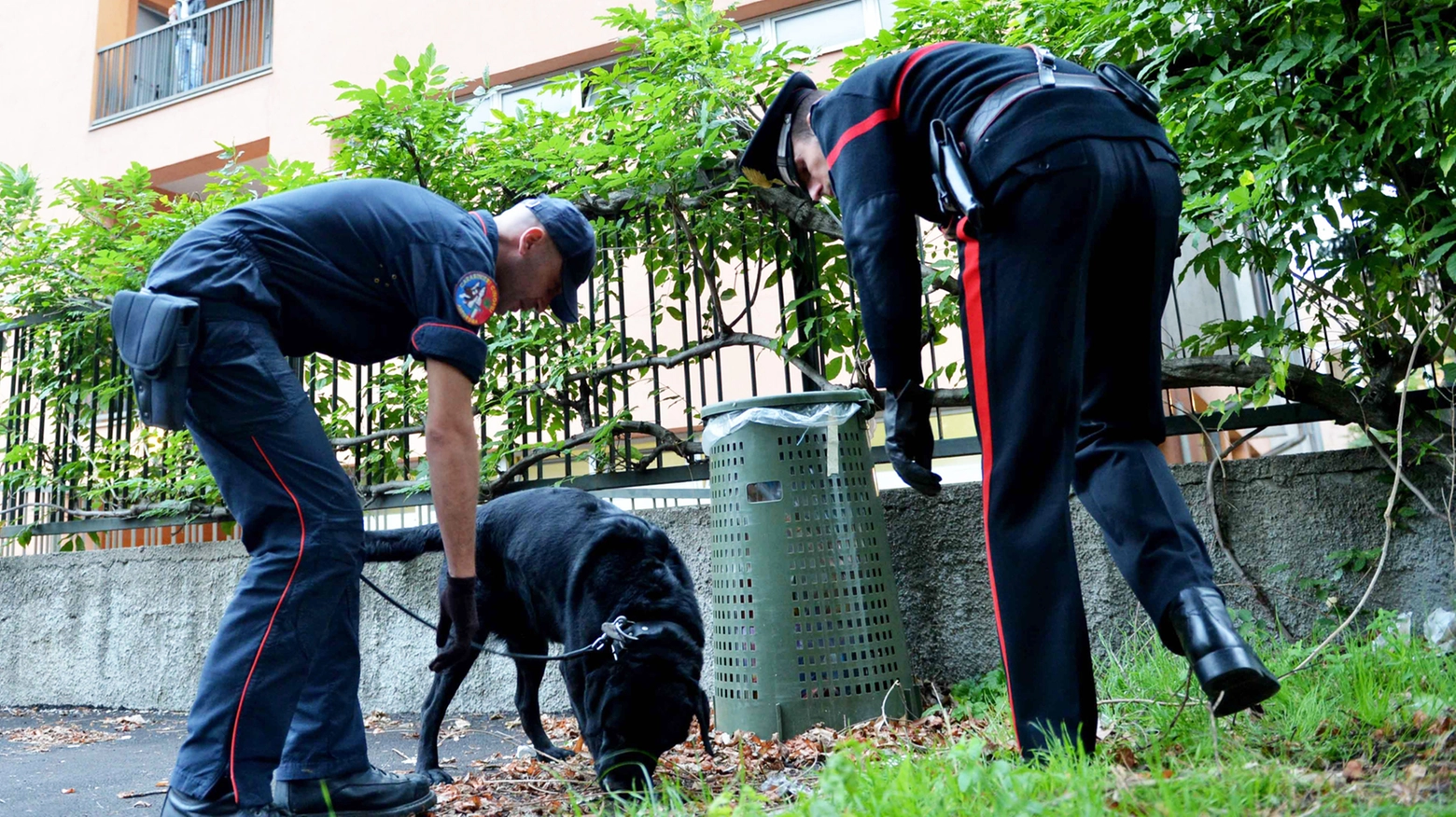 Carabinieri con un cane antidroga