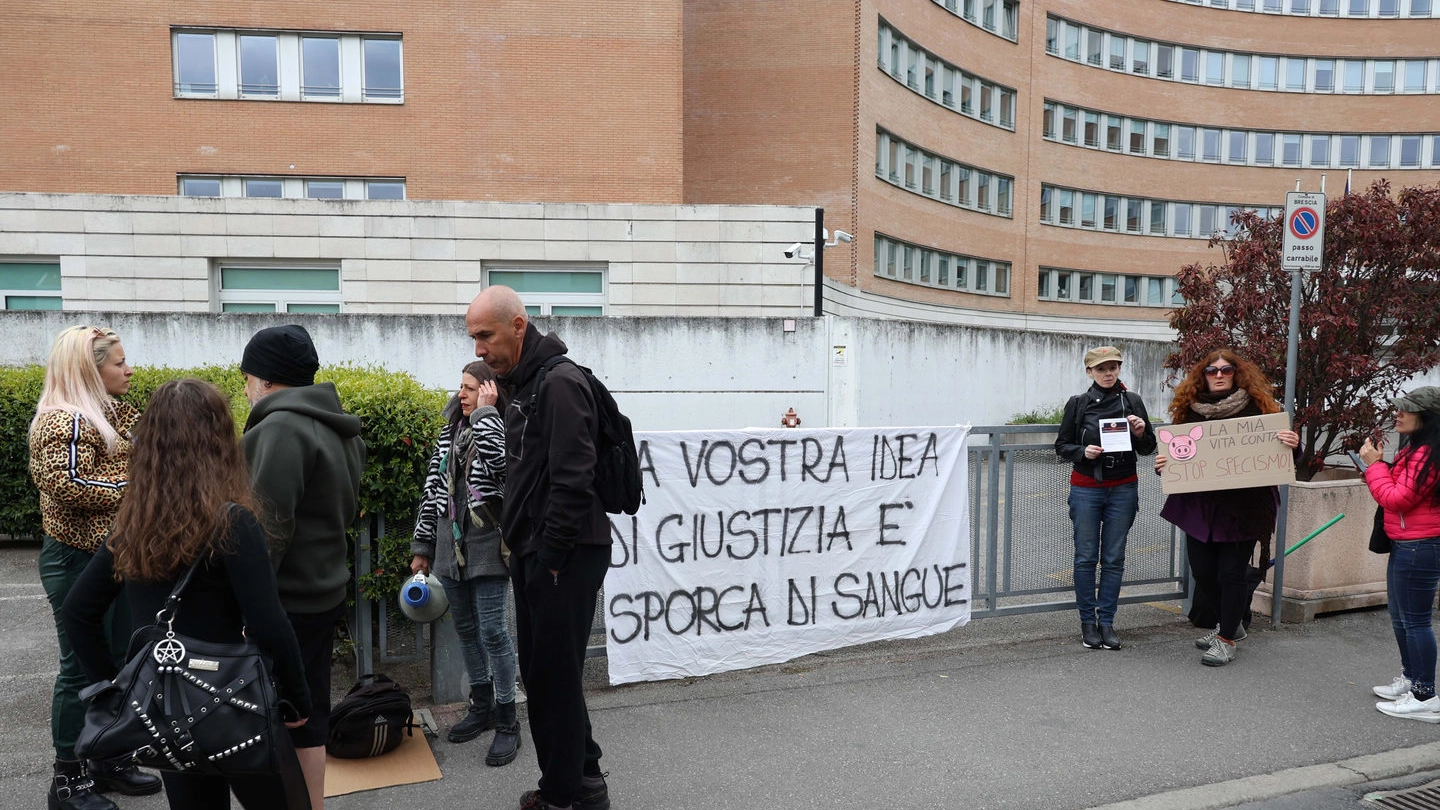 La manifestazione degli animalisti contro la decisione del Tribunale di Brescia