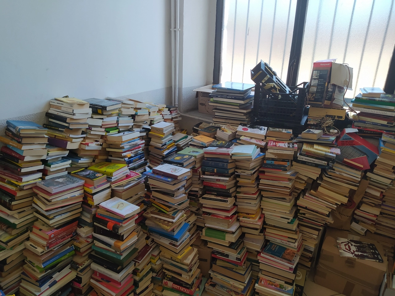 immagine di sfondo 15