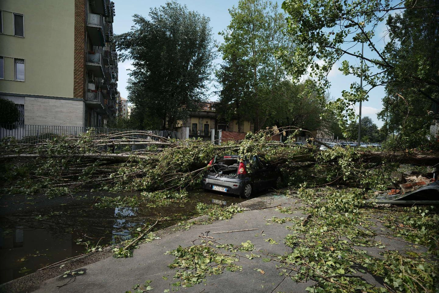Auto distrutte dagli alberi in zona Forze Armate