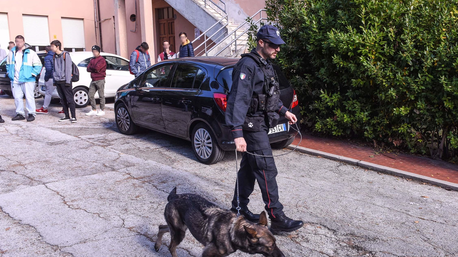 I carabinieri con i cani anti droga