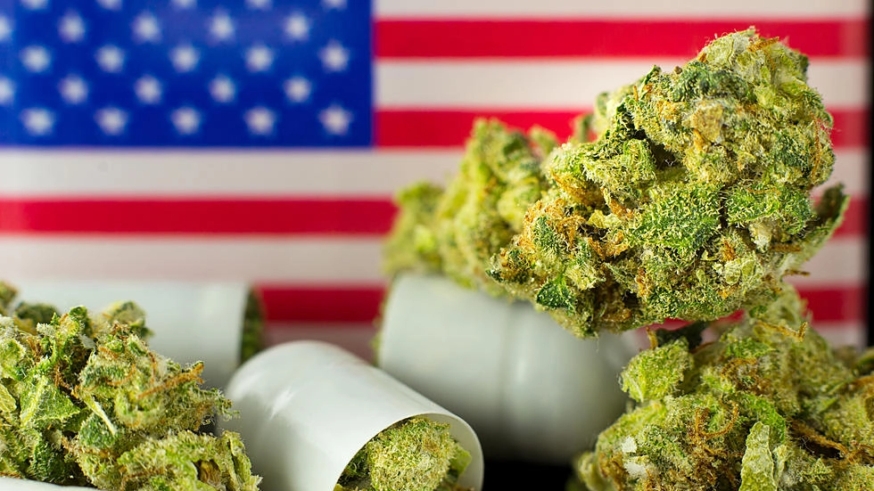 Marijuana in Usa
