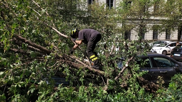 Nubifragio a Milano, il sindaco Sala: “Caduti 5mila alberi. Stima danni intorno ai 50 milioni”