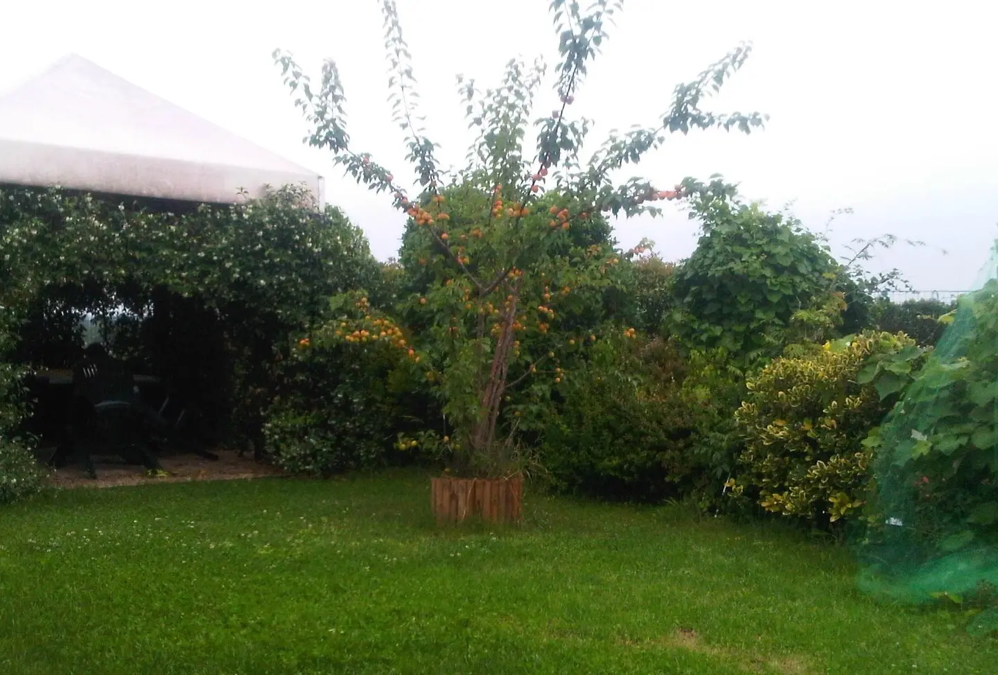 Dai tetti verdi al giardino sospeso. Ecco i progetti green premiati dal Comune a Milano