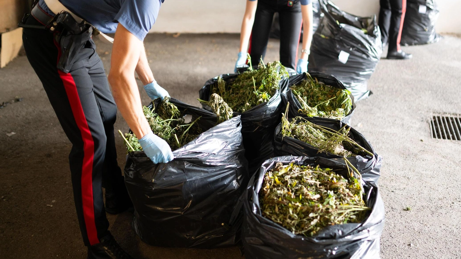 Un quintale di marijuana stoccato nel garage. Cinque in manette