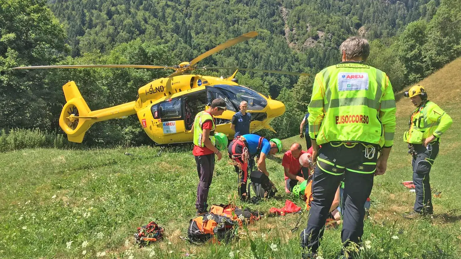 L’albero cade e lo travolge  Muore al lavoro nel suo terreno
