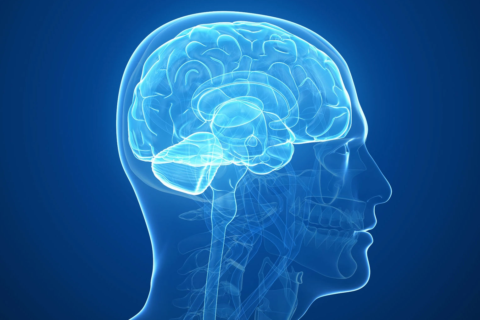 L'Alzheimer si sviluppa nell'area cerebrale dell'umore - foto Sebastian Kaulitzki / Alamy