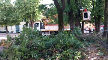 Maltempo a Brescia, alberi cadono e tranciano cavi corrente: black out
