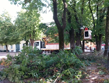 Maltempo a Brescia, alberi cadono e tranciano cavi corrente: black out