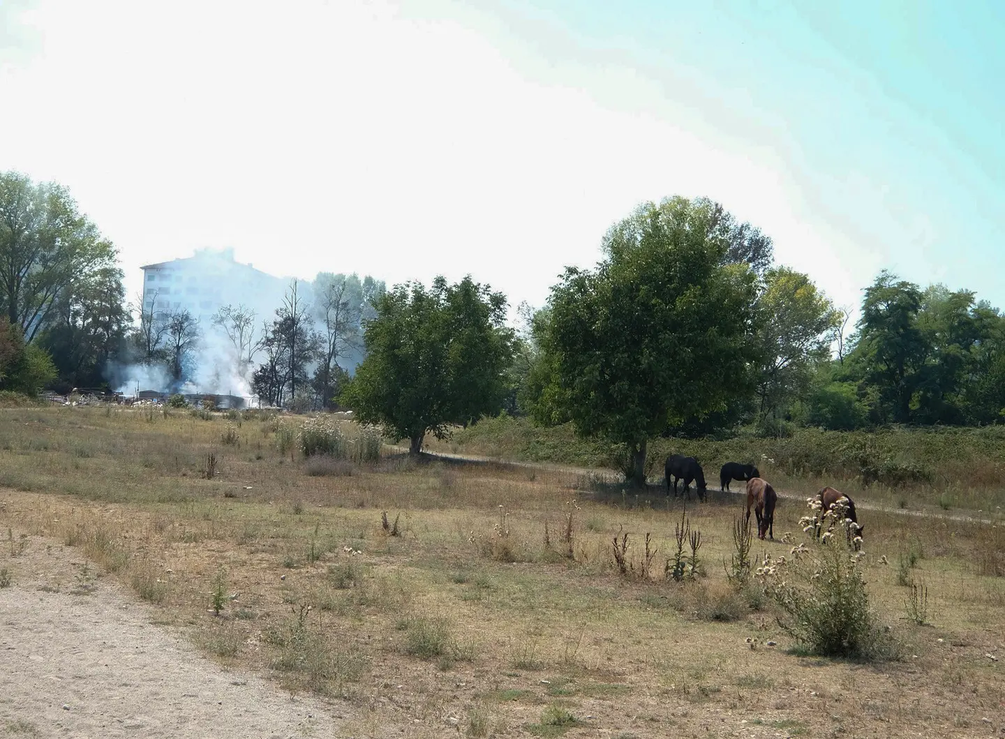 Al Parco delle Cave 'La corsa delle città' contro il tumore al pancreas