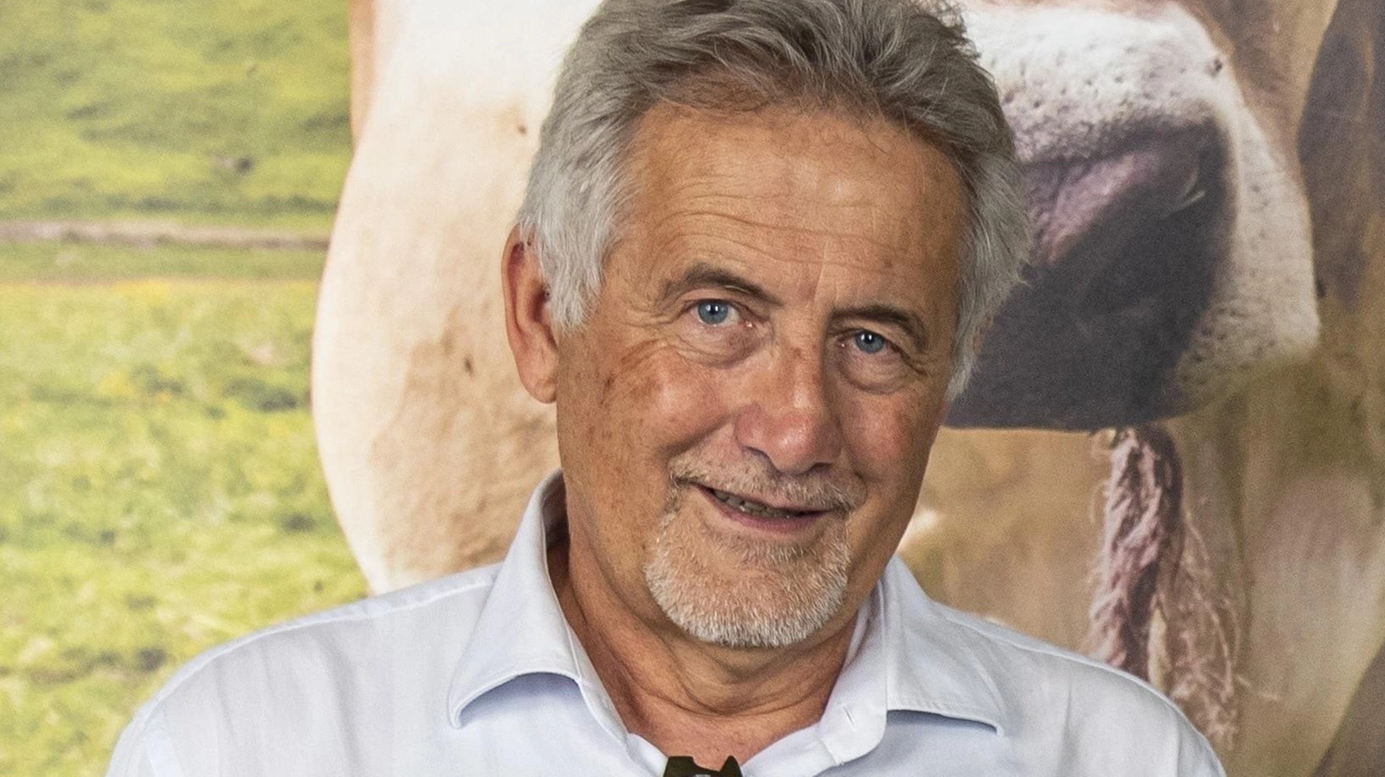 Per il Consorzio del bitto primi bilanci del 2023: "Prodotte 16mila forme" Per il Consorzio del bitto primi bilanci del 2023: "Prodotte 16mila forme"