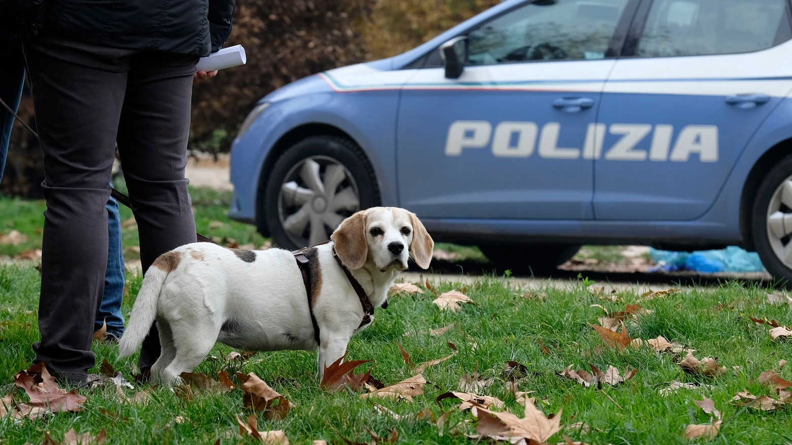 Il cane della vittima e la polizia
