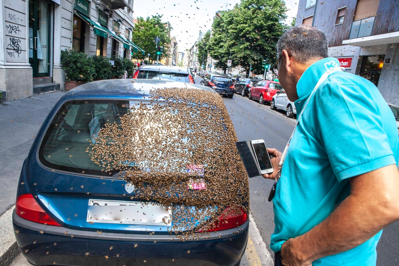 Migration
