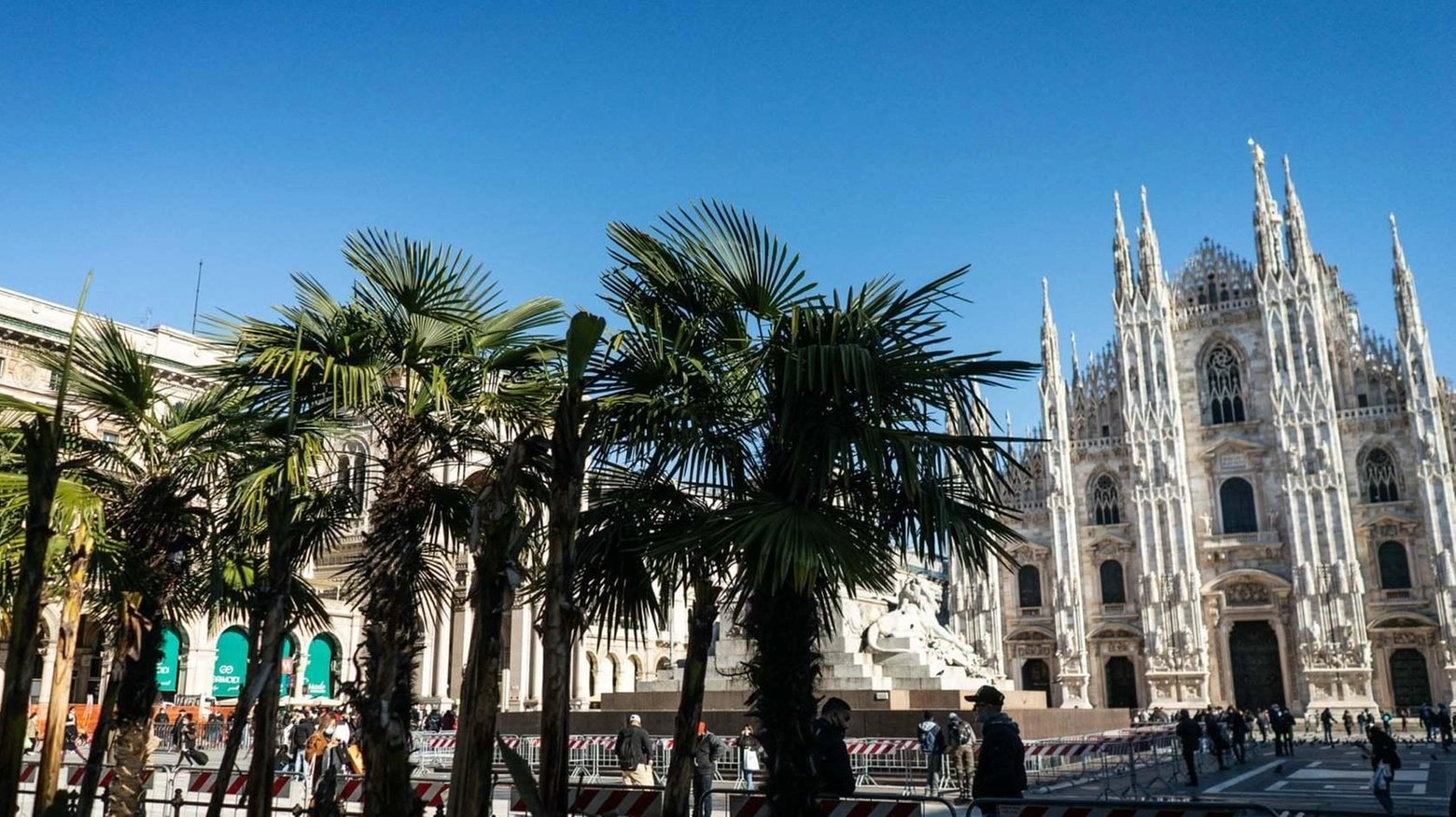 Aiuola in Piazza Duomo, basta palme. Duello tra Ermenegildo Zegna e 3Bee Aiuola in Piazza Duomo, basta palme. Duello tra Ermenegildo Zegna e 3Bee