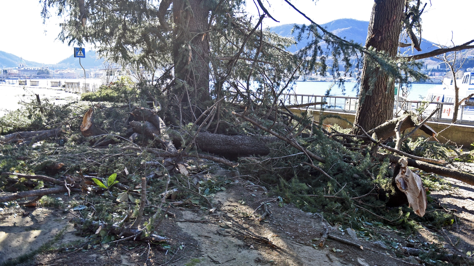 Alberi caduti al suolo per il forte vento lungo viale Geno a Como