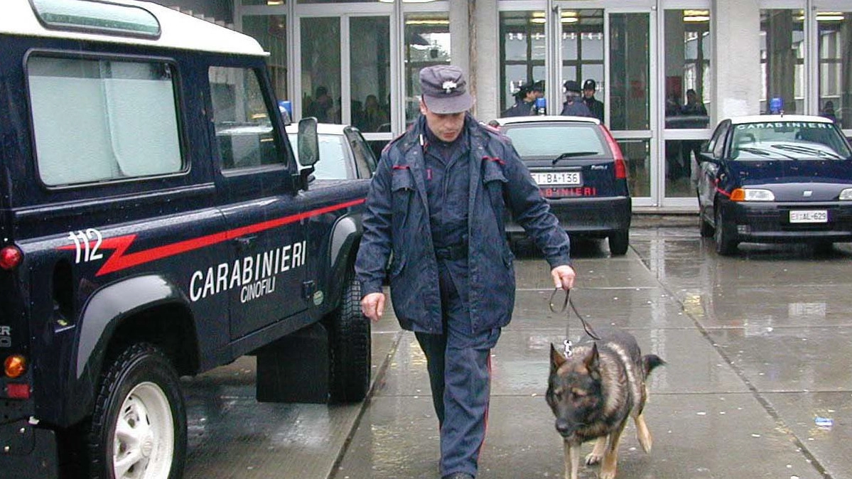 Carabinieri con i cani antidroga fuori da scuola