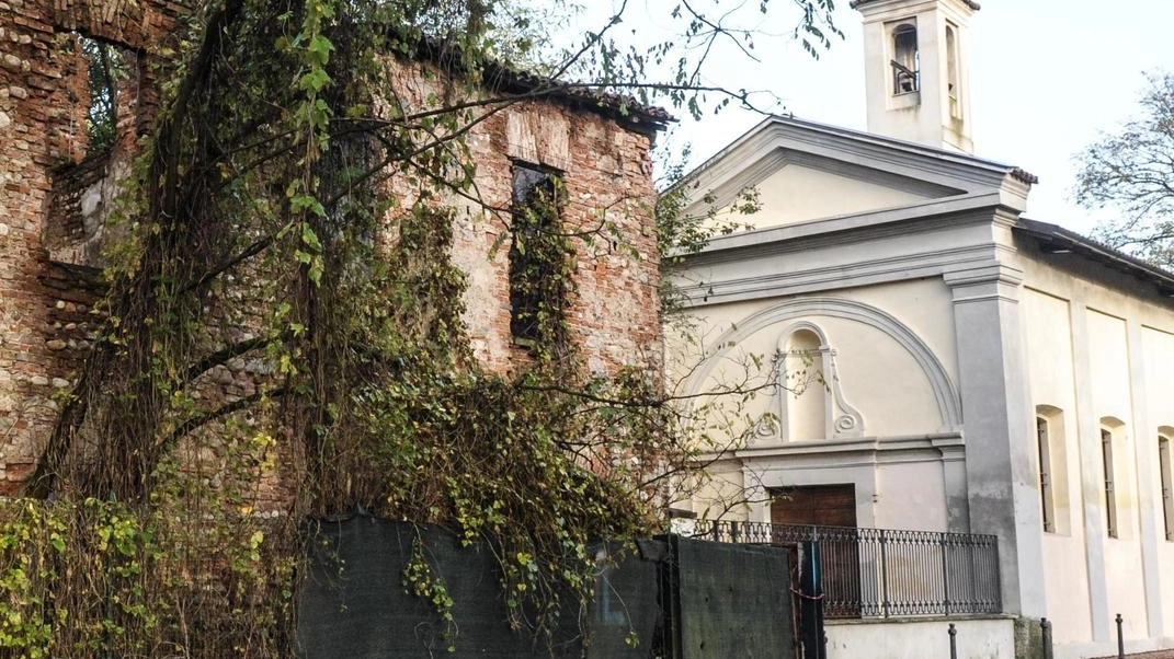 Il Bosco Selva Longa di Busto Arsizio minacciato dal cemento: Legambiente si mobilizza
Il Bosco Selva Longa di Busto Arsizio minacciato dal cemento: Legambiente si mobilizza
