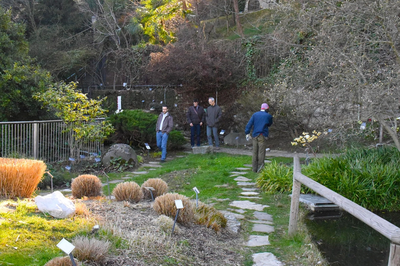 L'Orto Botanico di Città Alta