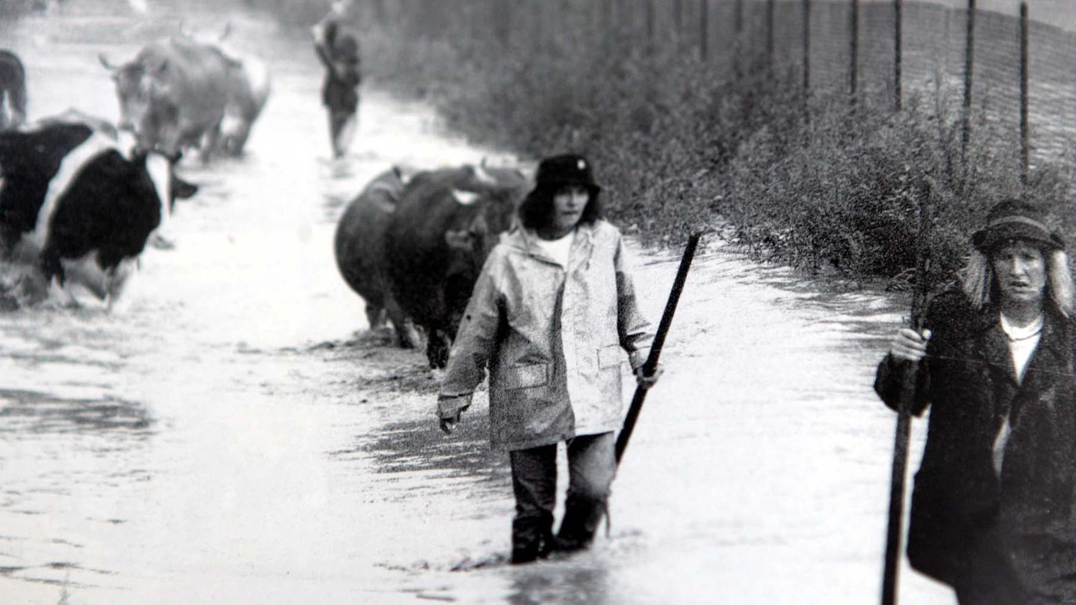 Un'immagine dell'alluvione del 1987 (National Press)