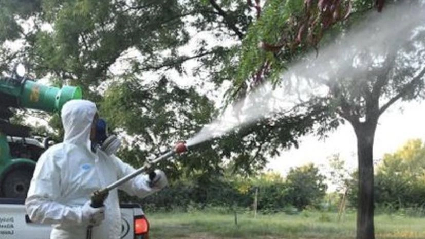 Disinfestazione partita dopo la minaccia Dengue