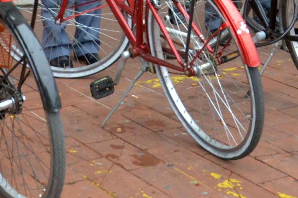 Biciclette (foto d’archivio)